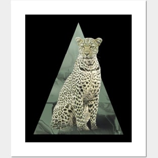 Leopard on Safari in Kenya / Africa Posters and Art